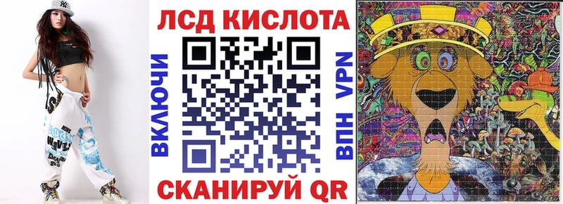 kraken как войти  Камешково  Наркотические марки 1,5мг 