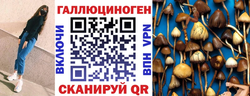 купить наркотик  Камешково  Псилоцибиновые грибы Cubensis 